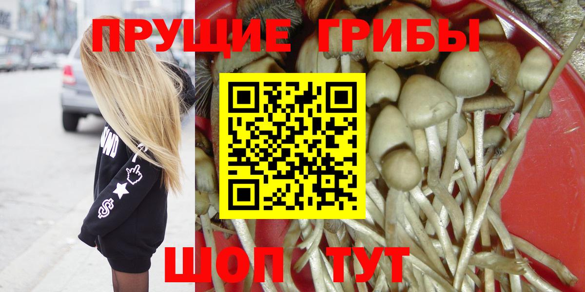 Псилоцибиновые грибы мухоморы  Псилоцибиновые грибы ЛСД  Каменск-Шахтинский  Вход с VPN 